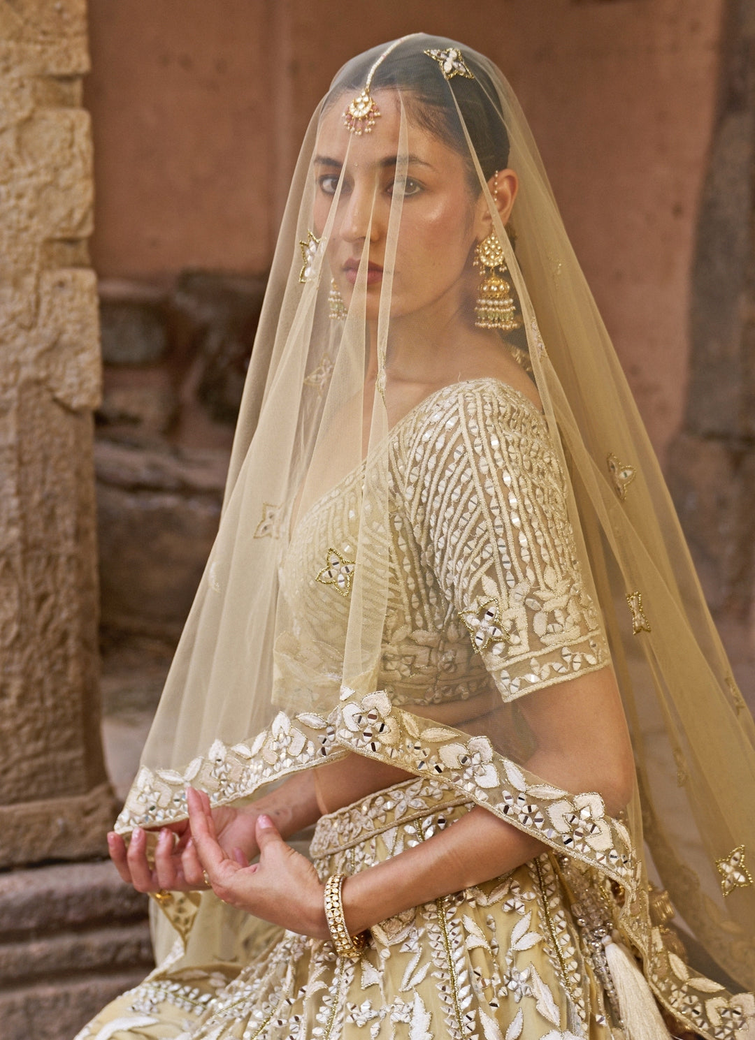 Beige Gold Soft Net Lehenga Set