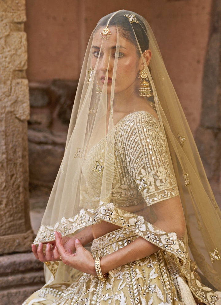 Beige Gold Soft Net Lehenga Set
