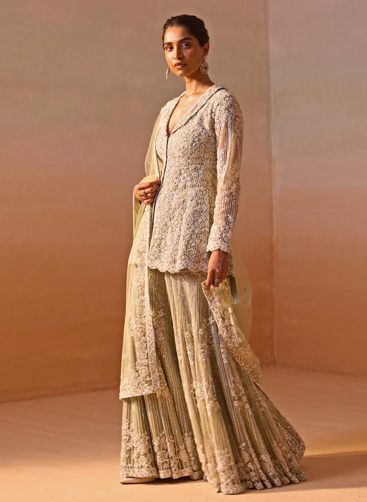 Pastel Green Soft Net Kurta Sharara Set