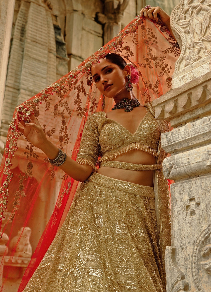 Gold Soft Net Lehenga Set