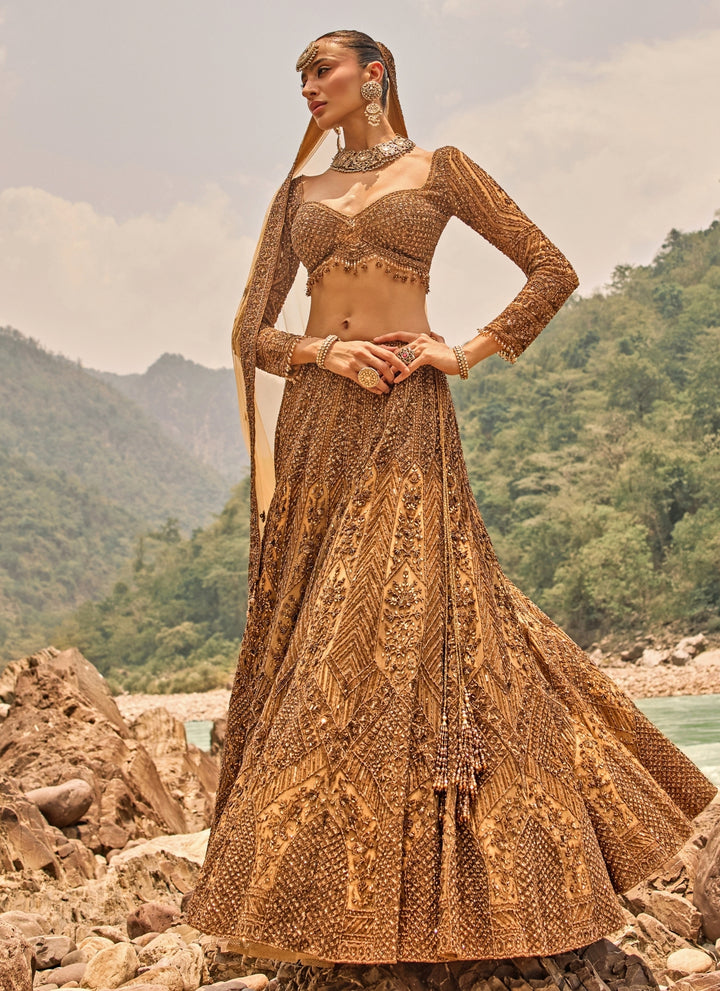 Copper Jewelled Soft Net Lehenga Set