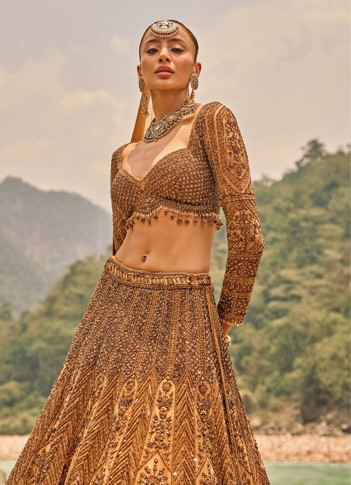 Copper Jewelled Soft Net Lehenga Set