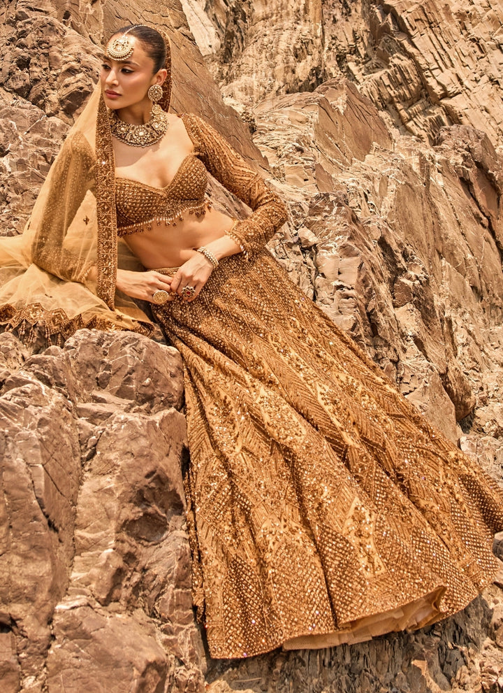 Copper Jewelled Soft Net Lehenga Set
