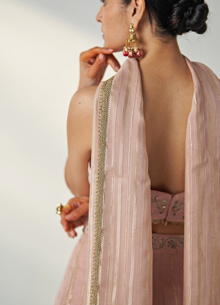 Blush Pink Embroidered Organza Blouse Sharara Set