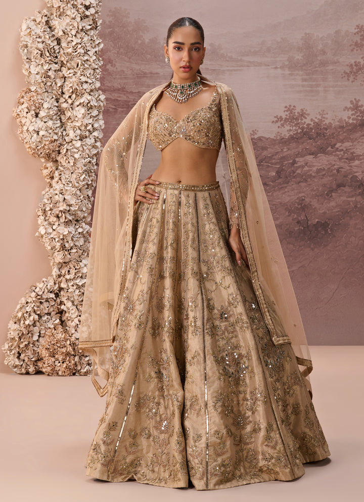 Nude Gold Sequins Silk Tissue Lehenga