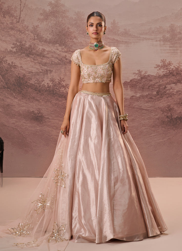 Blush Pink Silk Tissue Lehenga