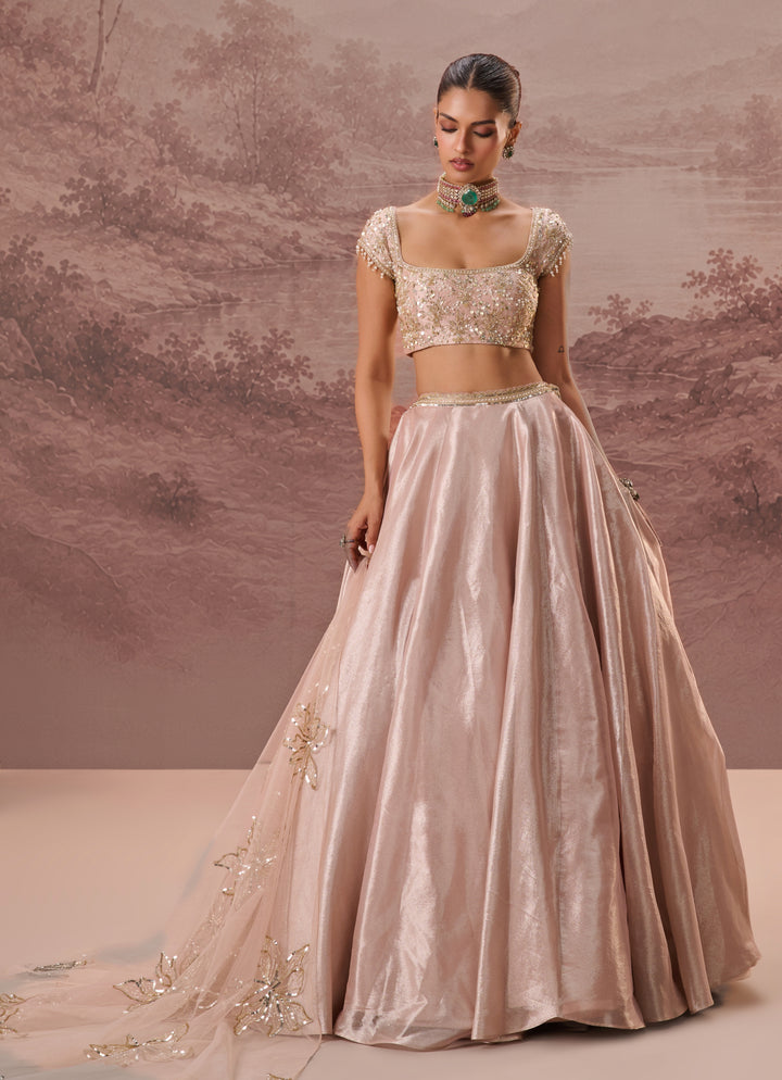 Blush Pink Silk Tissue Lehenga