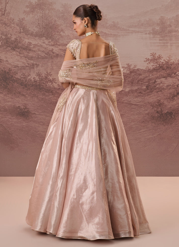 Blush Pink Silk Tissue Lehenga