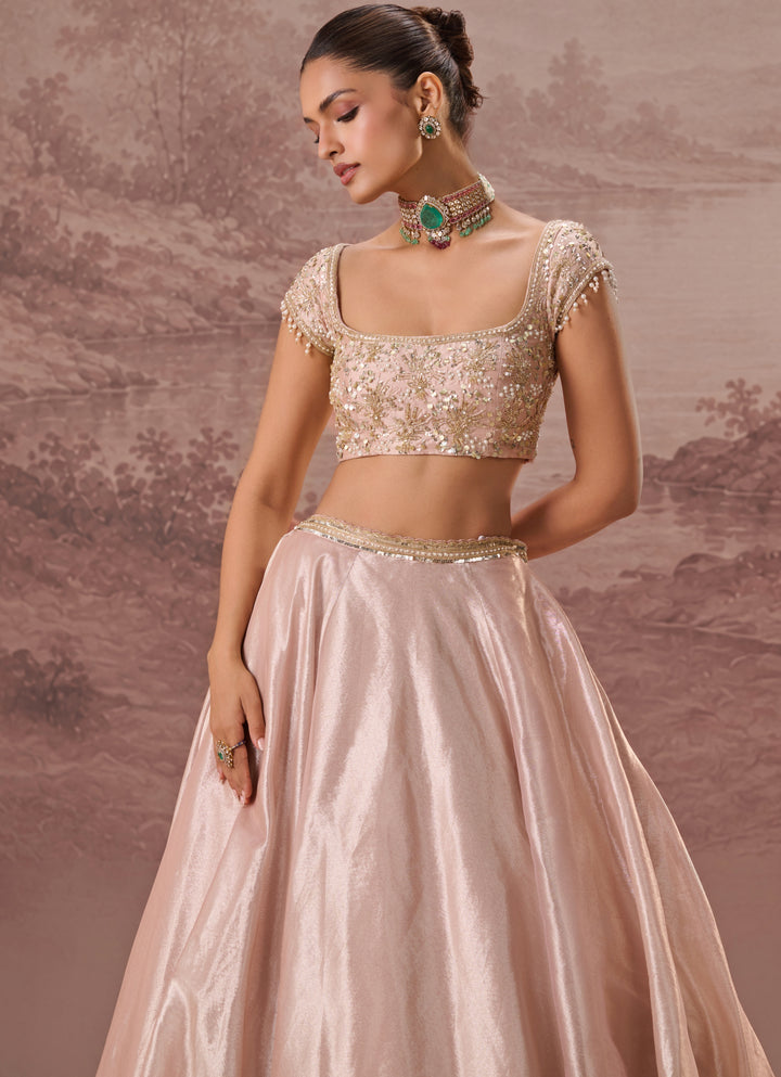 Blush Pink Silk Tissue Lehenga