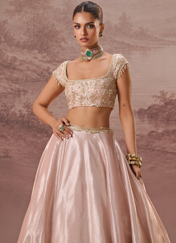 Blush Pink Silk Tissue Lehenga