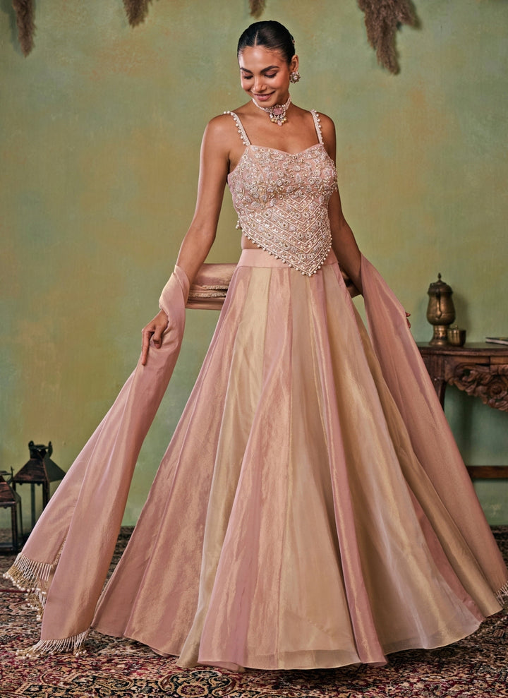 Dusty Pink And Gold Tissue Corset Lehenga Set