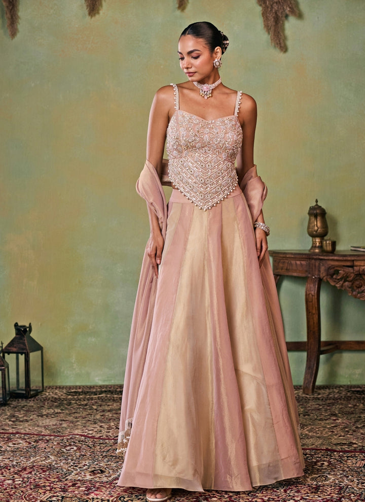 Dusty Pink And Gold Tissue Corset Lehenga Set