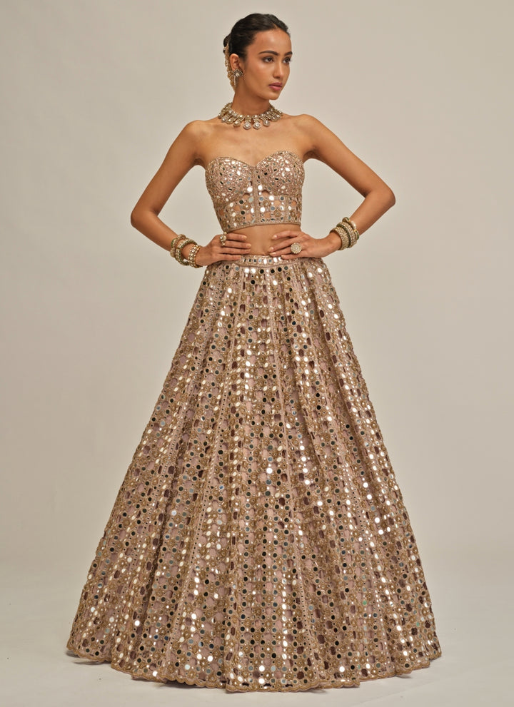 Ash Pink Embroidered Georgette Corset Lehenga