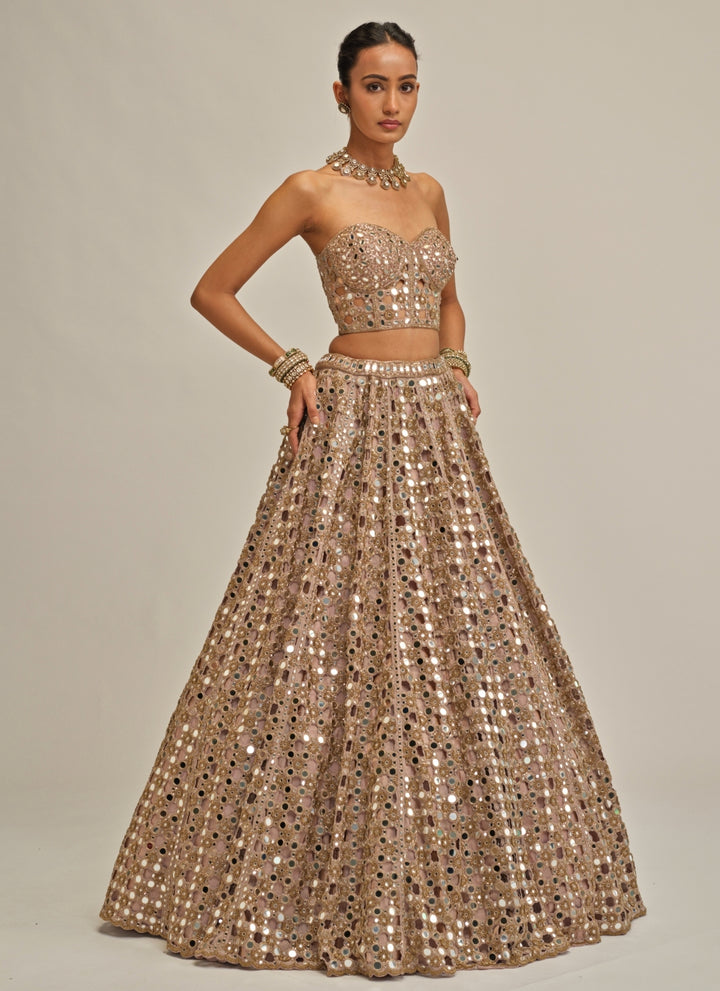 Ash Pink Embroidered Georgette Corset Lehenga