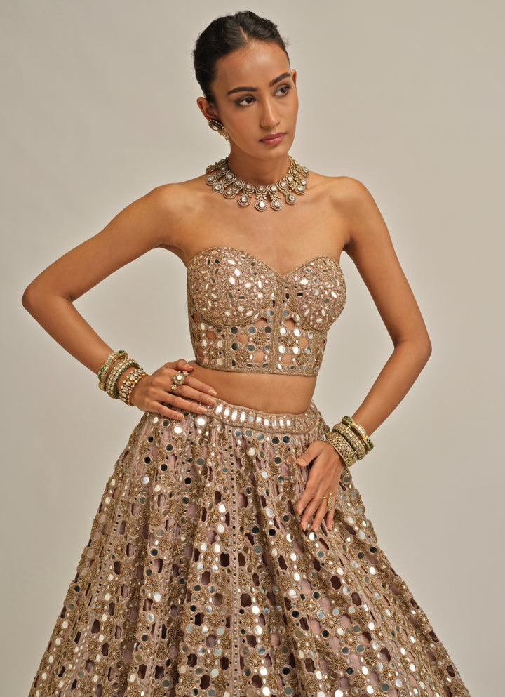 Ash Pink Embroidered Georgette Corset Lehenga