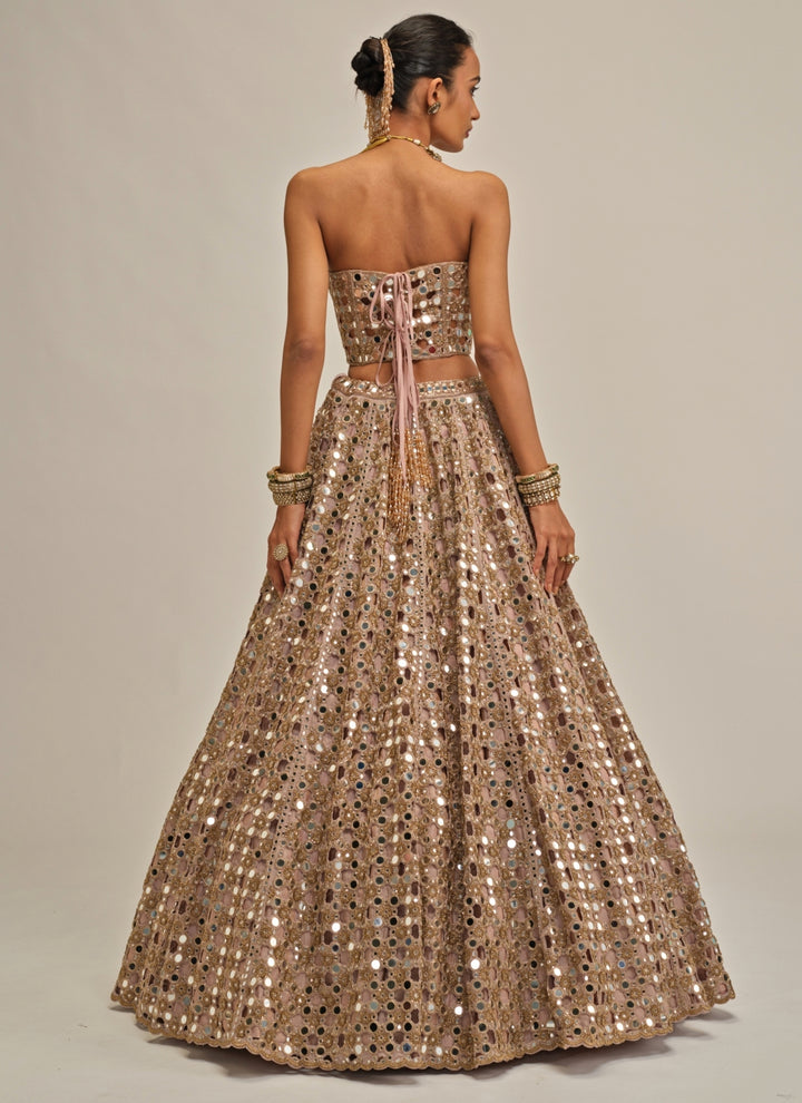 Ash Pink Embroidered Georgette Corset Lehenga