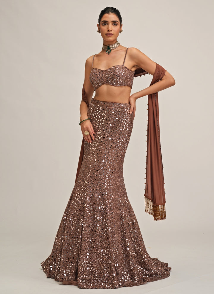 Metallic Brown Soft Net Mermaid Lehenga