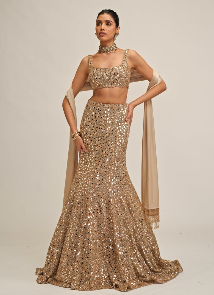 Beige Gold Soft Net Mermaid Lehenga