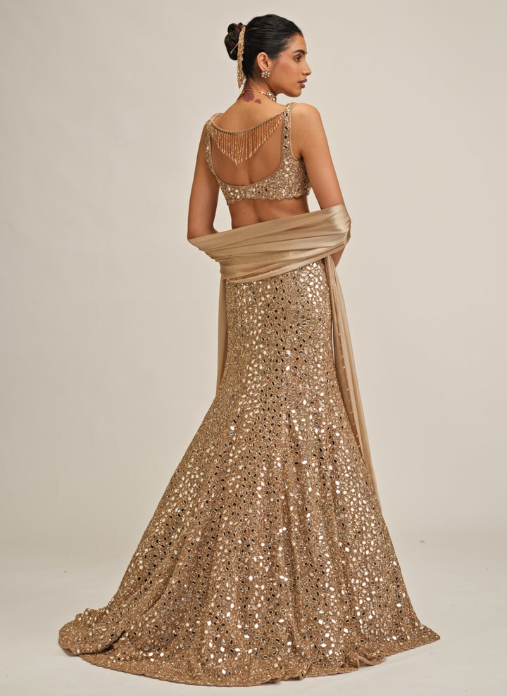 Beige Gold Soft Net Mermaid Lehenga