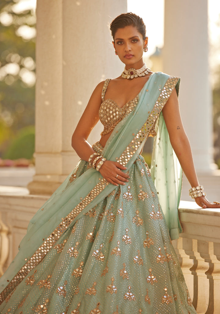 Powder Blue Organza Lehenga With Embroidered Sleeveless Blouse