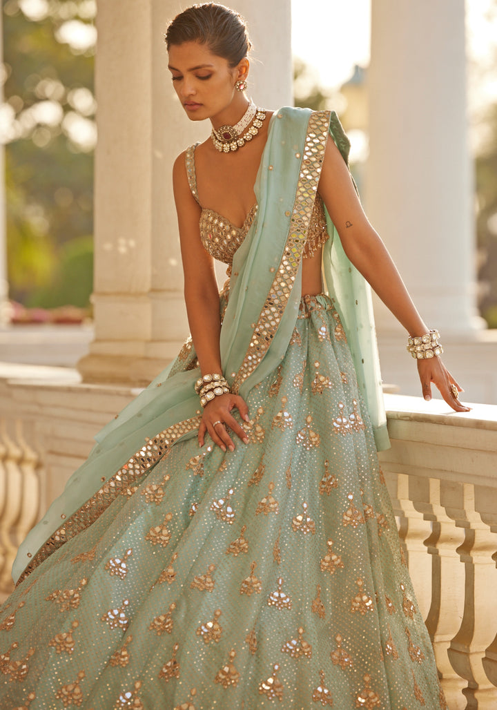 Powder Blue Organza Lehenga With Embroidered Sleeveless Blouse