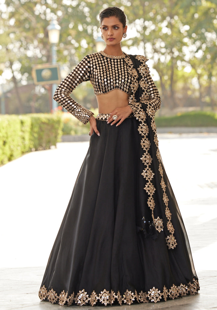 Black Organza Lehenga With Embroidered Full Sleeves Blouse