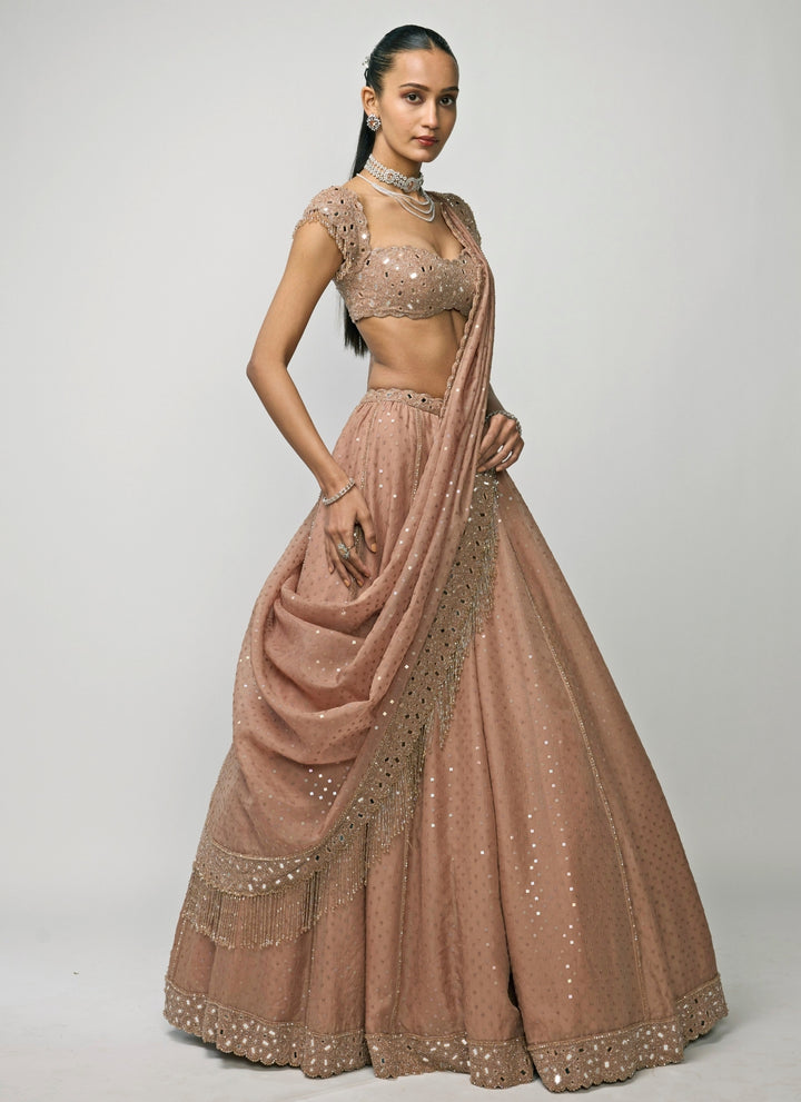 Copper Brown Organza Lehenga Set