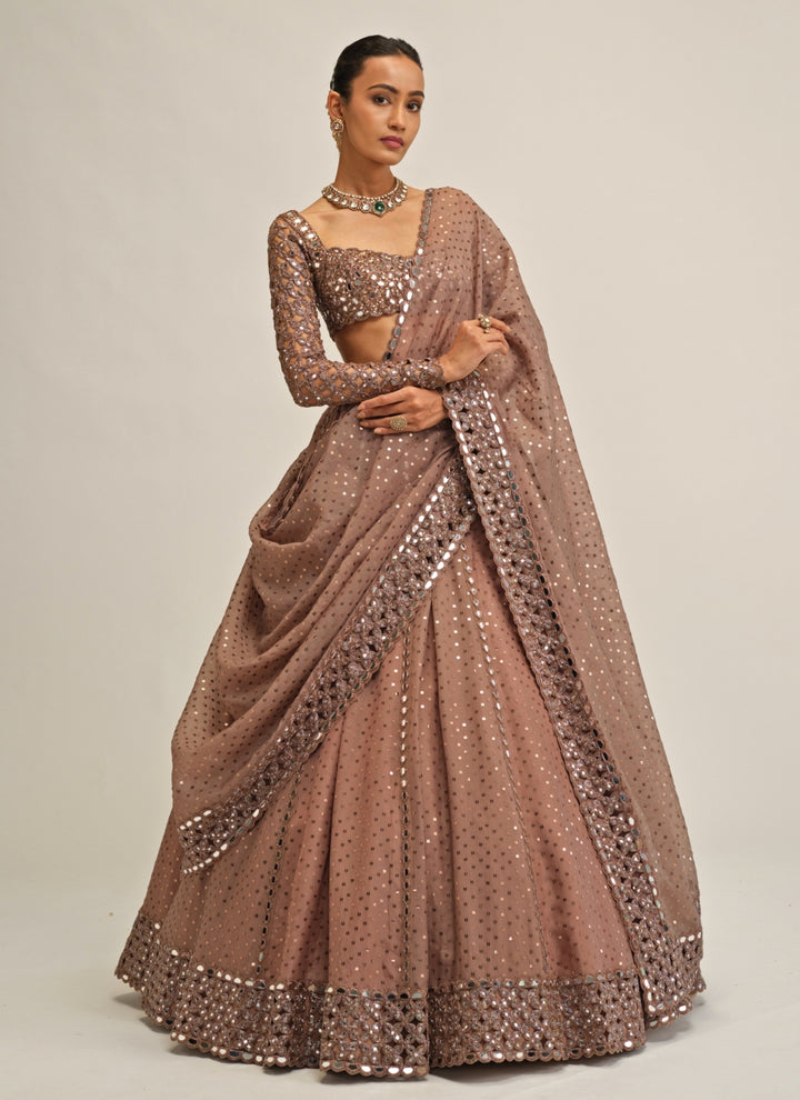 Metallic Brown Embroidered Organza Lehenga