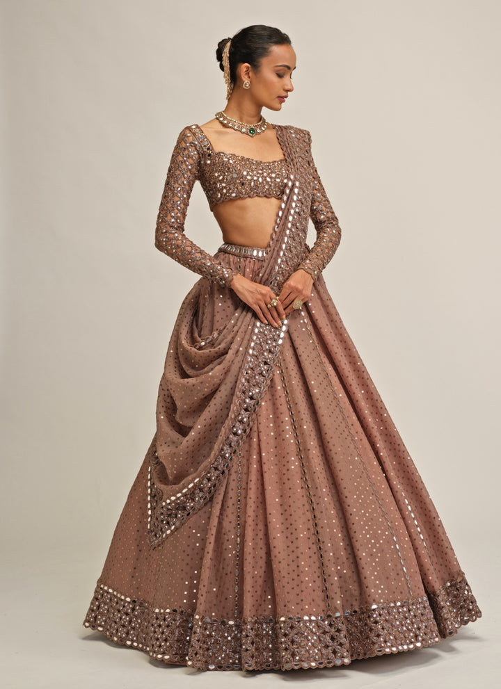 Metallic Brown Embroidered Organza Lehenga
