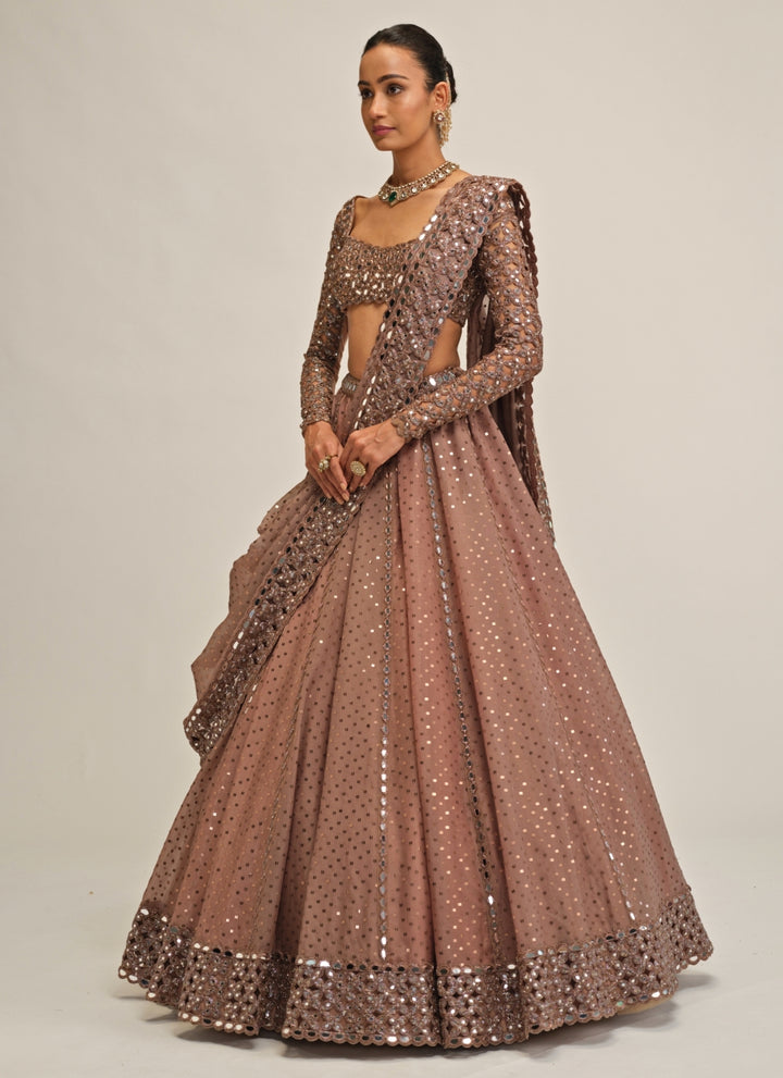 Metallic Brown Embroidered Organza Lehenga