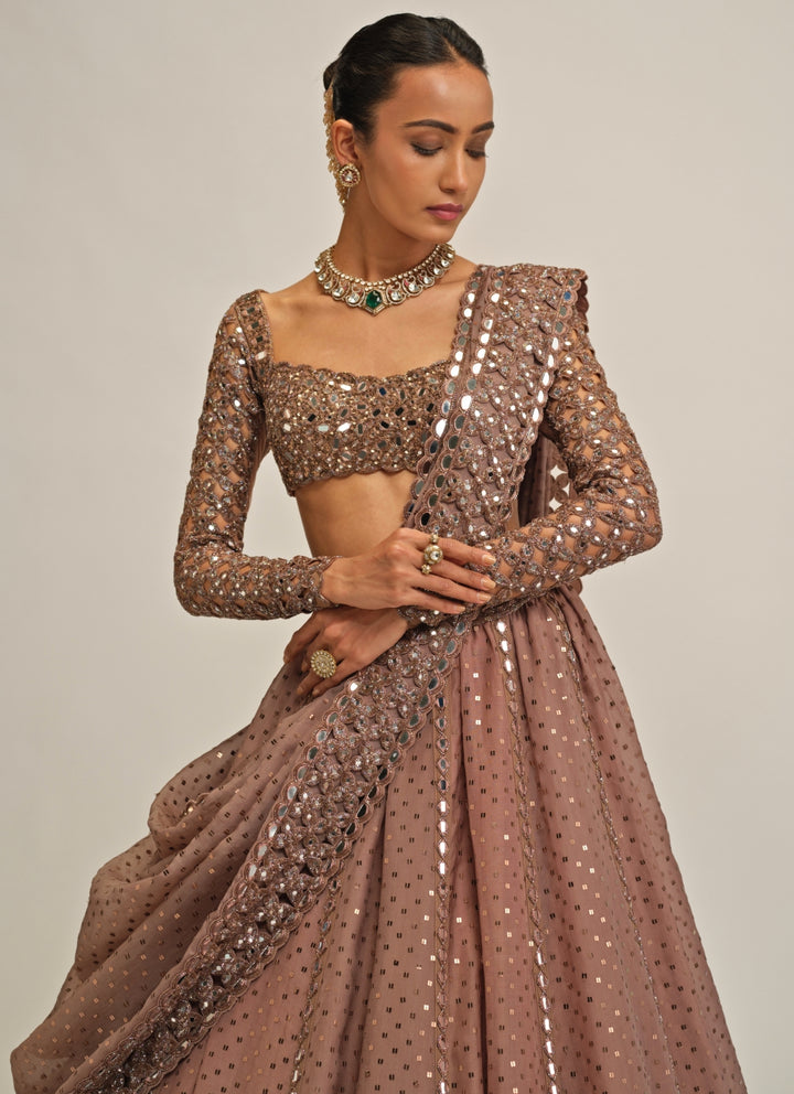 Metallic Brown Embroidered Organza Lehenga