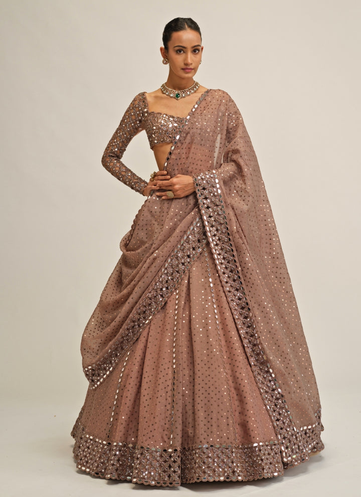 Metallic Brown Embroidered Organza Lehenga