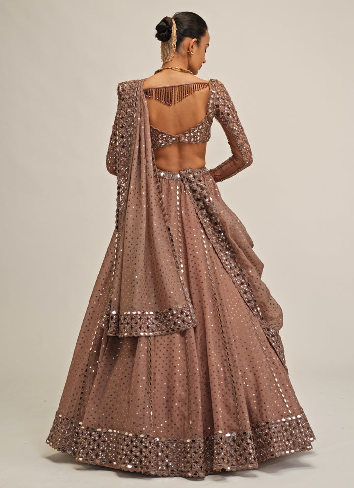 Metallic Brown Embroidered Organza Lehenga