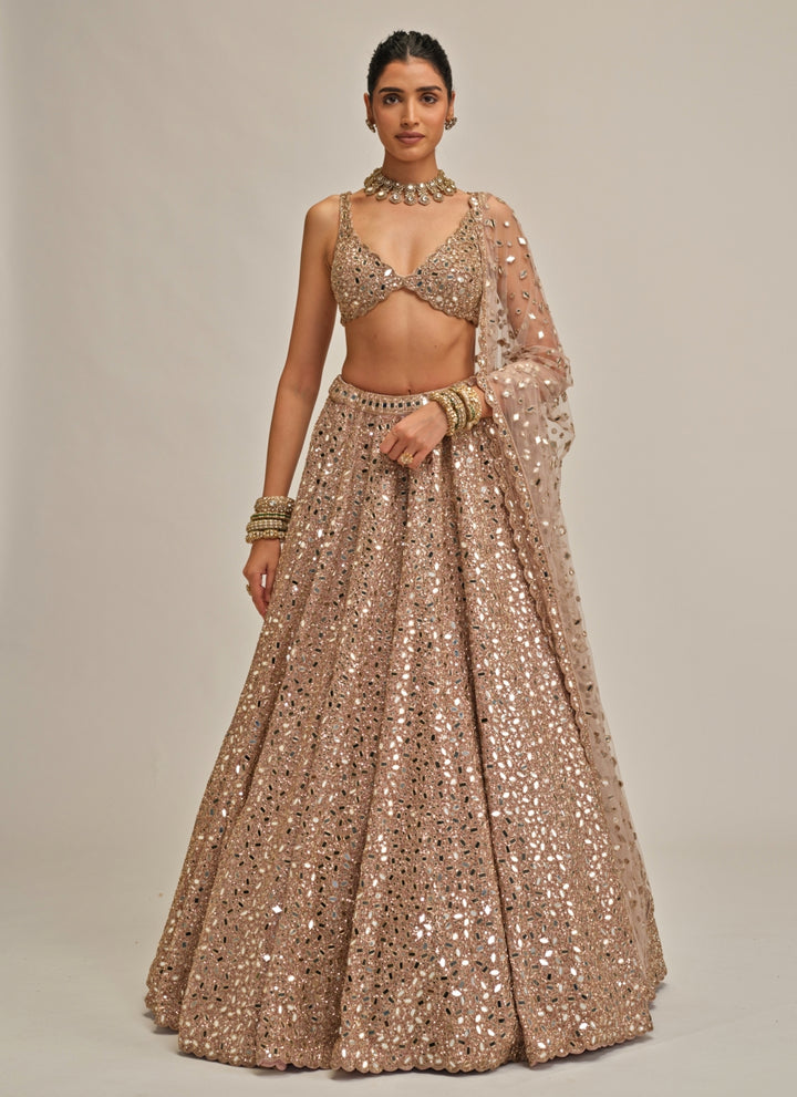 Ash Pink Mirror Embroidered Crepe Lehenga