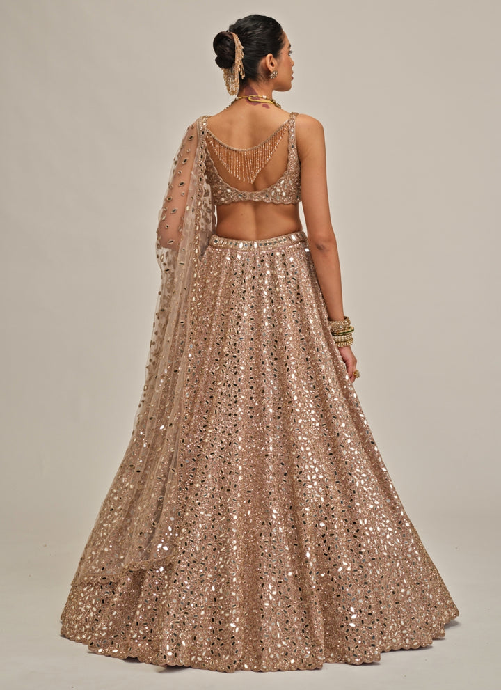 Ash Pink Mirror Embroidered Crepe Lehenga