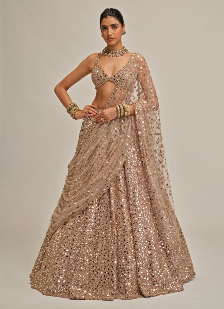 Ash Pink Mirror Embroidered Crepe Lehenga