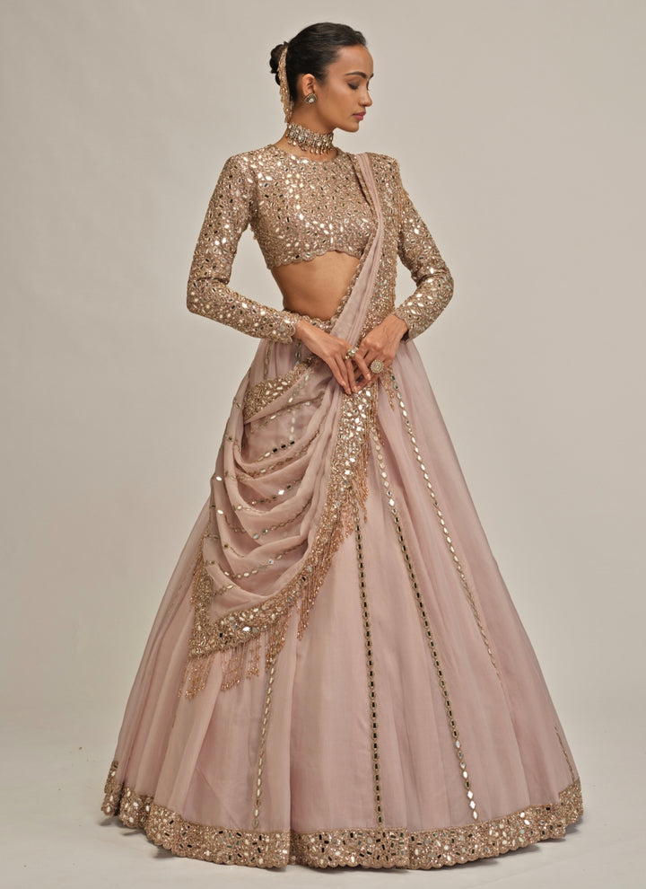 Ash Pink Linear Organza Lehenga