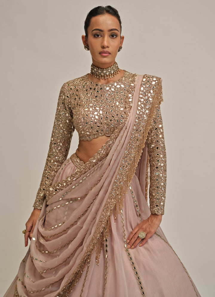 Ash Pink Linear Organza Lehenga