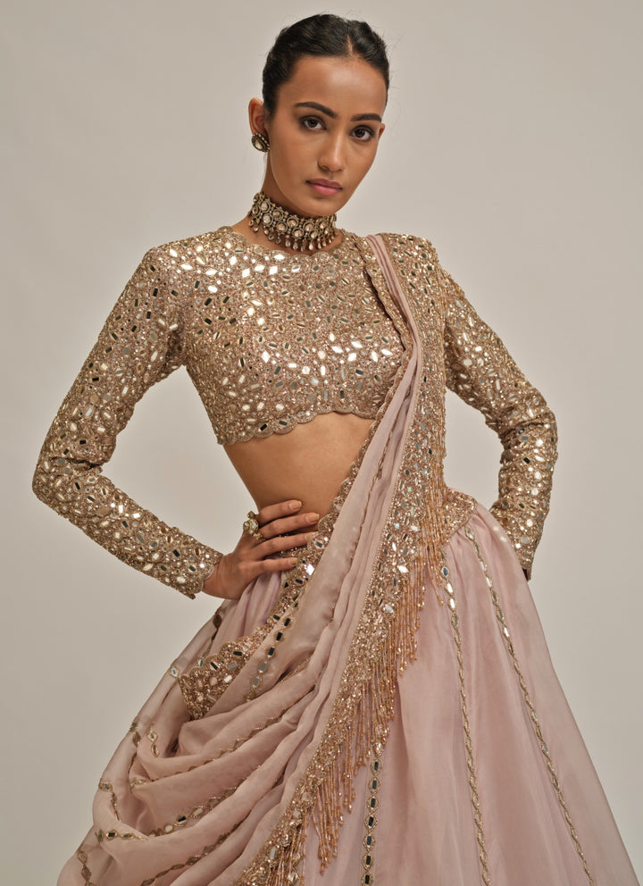 Ash Pink Linear Organza Lehenga