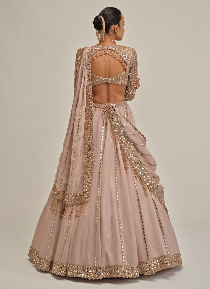 Ash Pink Linear Organza Lehenga