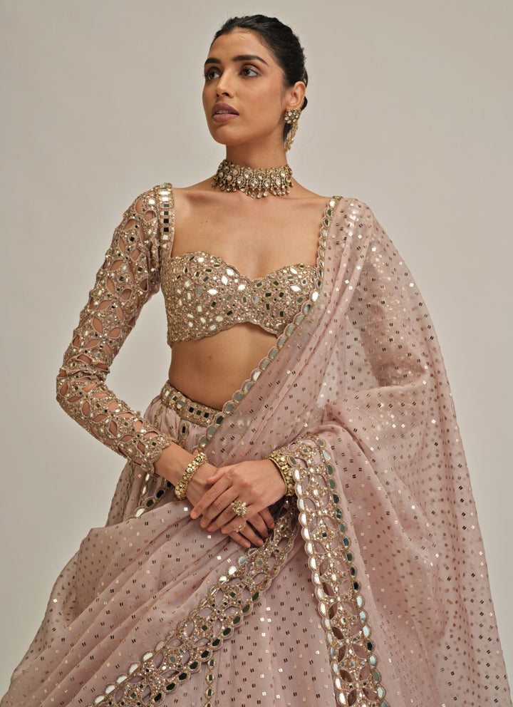 Ash Pink Cutwork Organza Lehenga