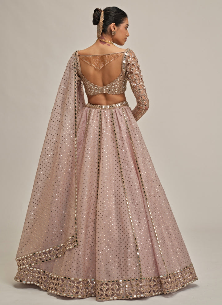 Ash Pink Cutwork Organza Lehenga