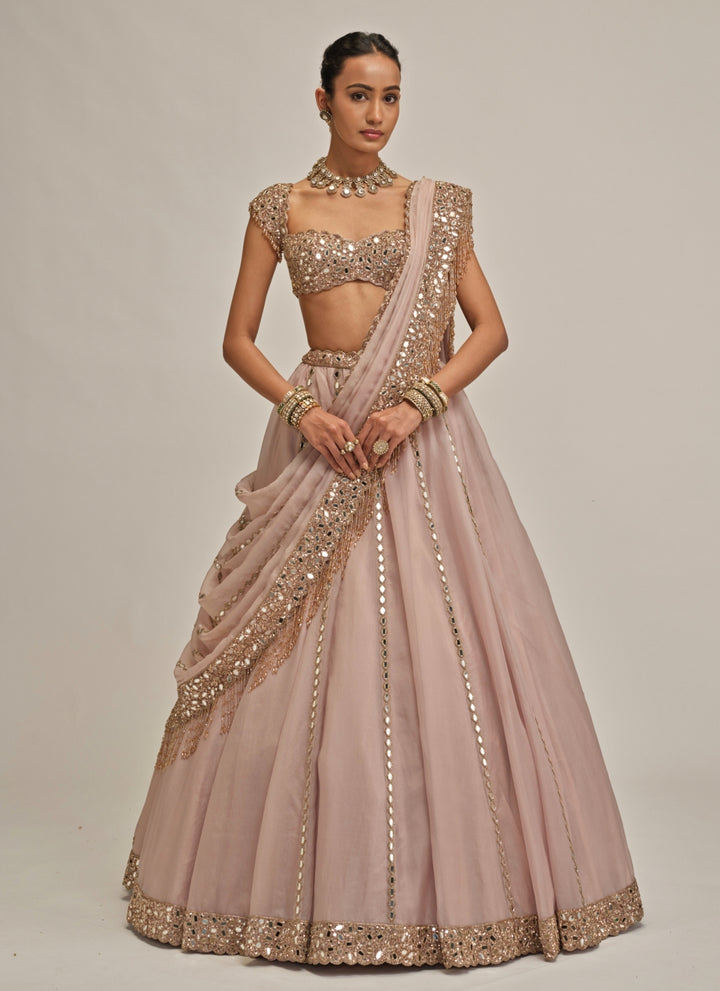 Ash Pink Mirror Linear Organza Lehenga