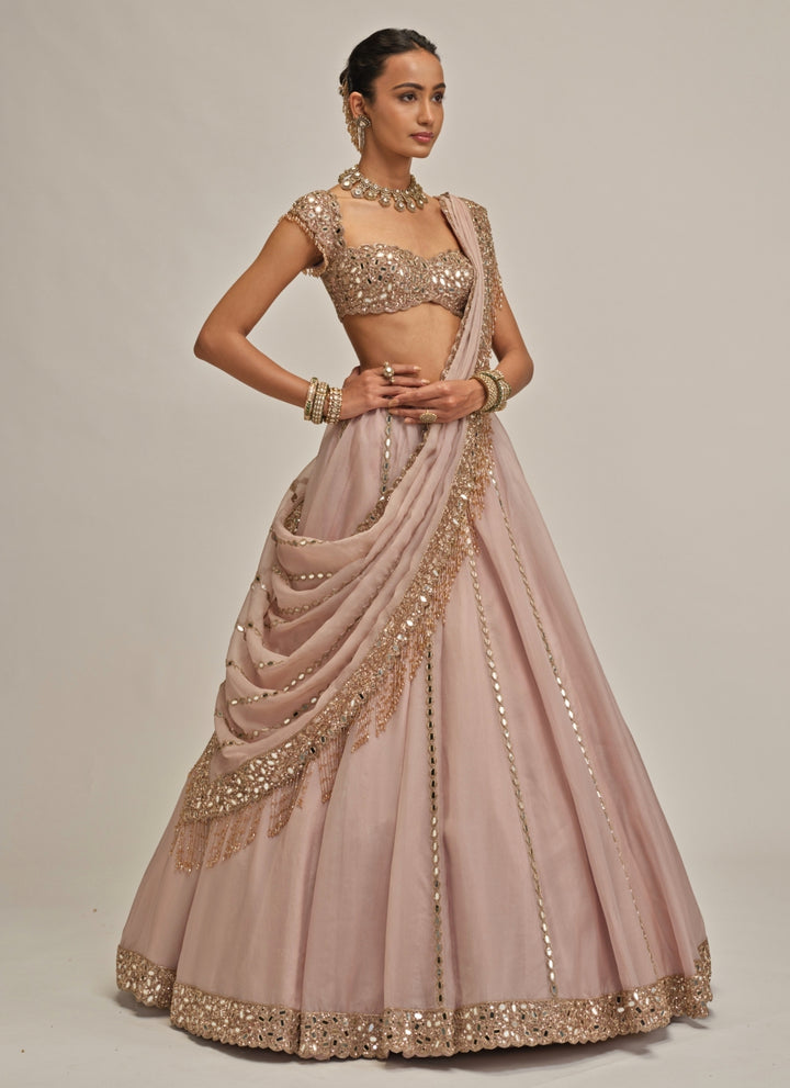Ash Pink Mirror Linear Organza Lehenga