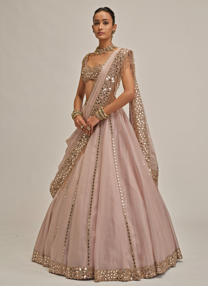 Ash Pink Mirror Linear Organza Lehenga
