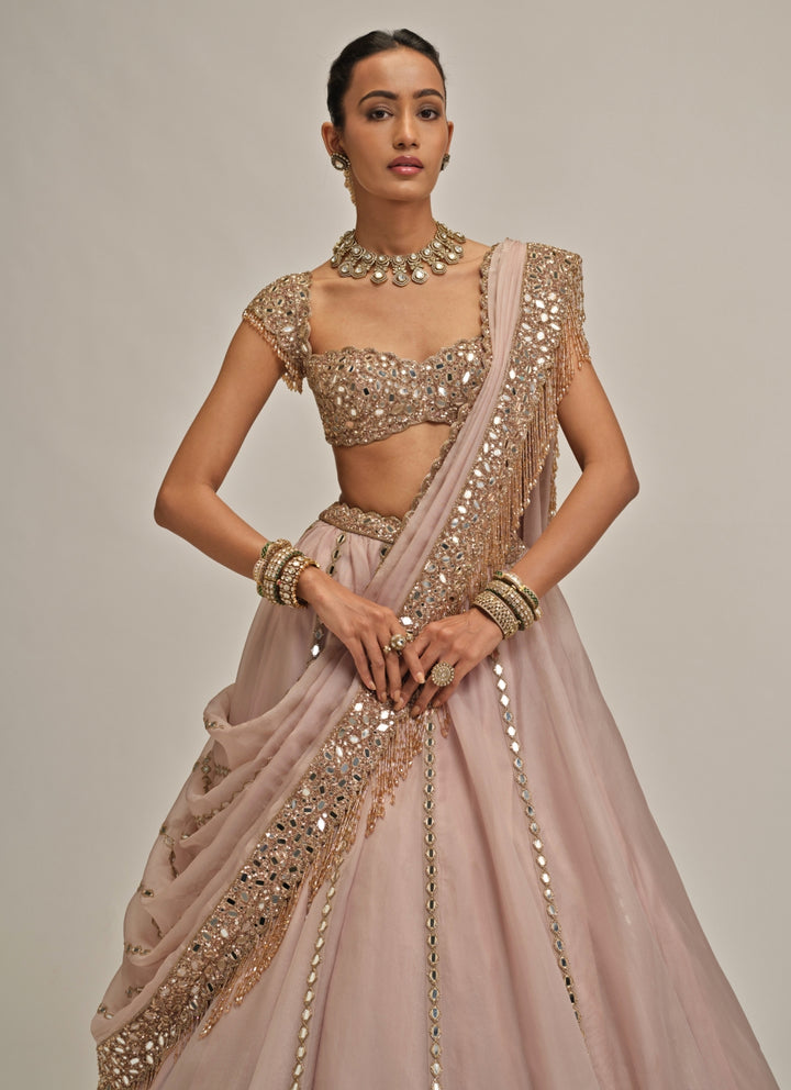 Ash Pink Mirror Linear Organza Lehenga