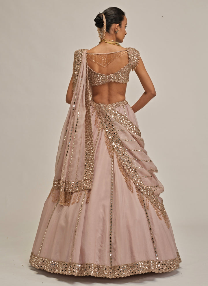Ash Pink Mirror Linear Organza Lehenga