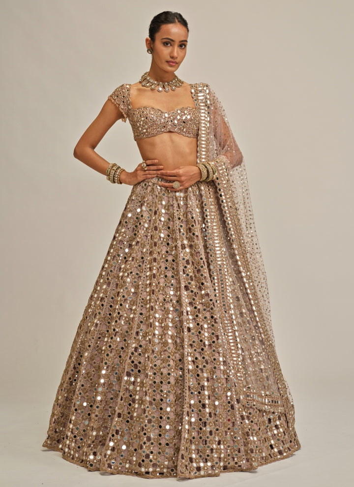 Ash Pink Cutwork Georgette Lehenga