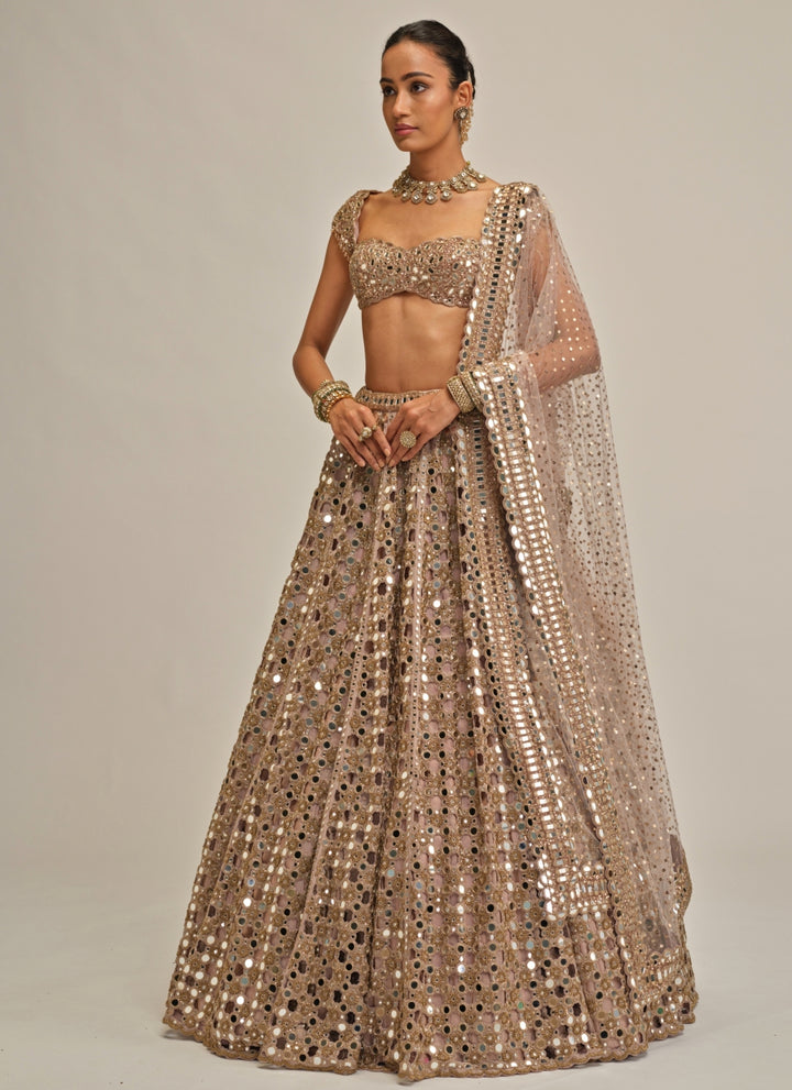 Ash Pink Cutwork Georgette Lehenga