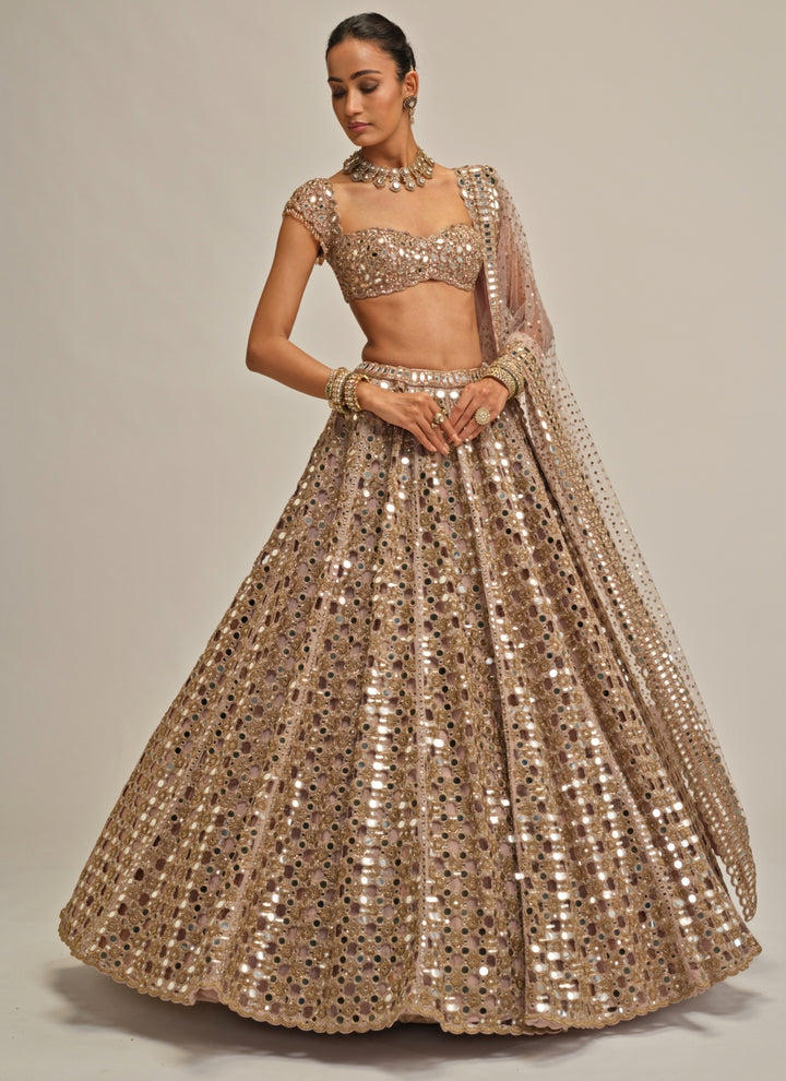 Ash Pink Cutwork Georgette Lehenga